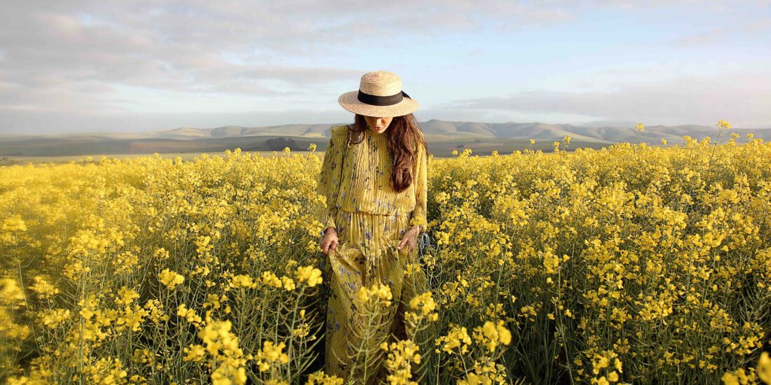 Canola Fields with Faiza Omar