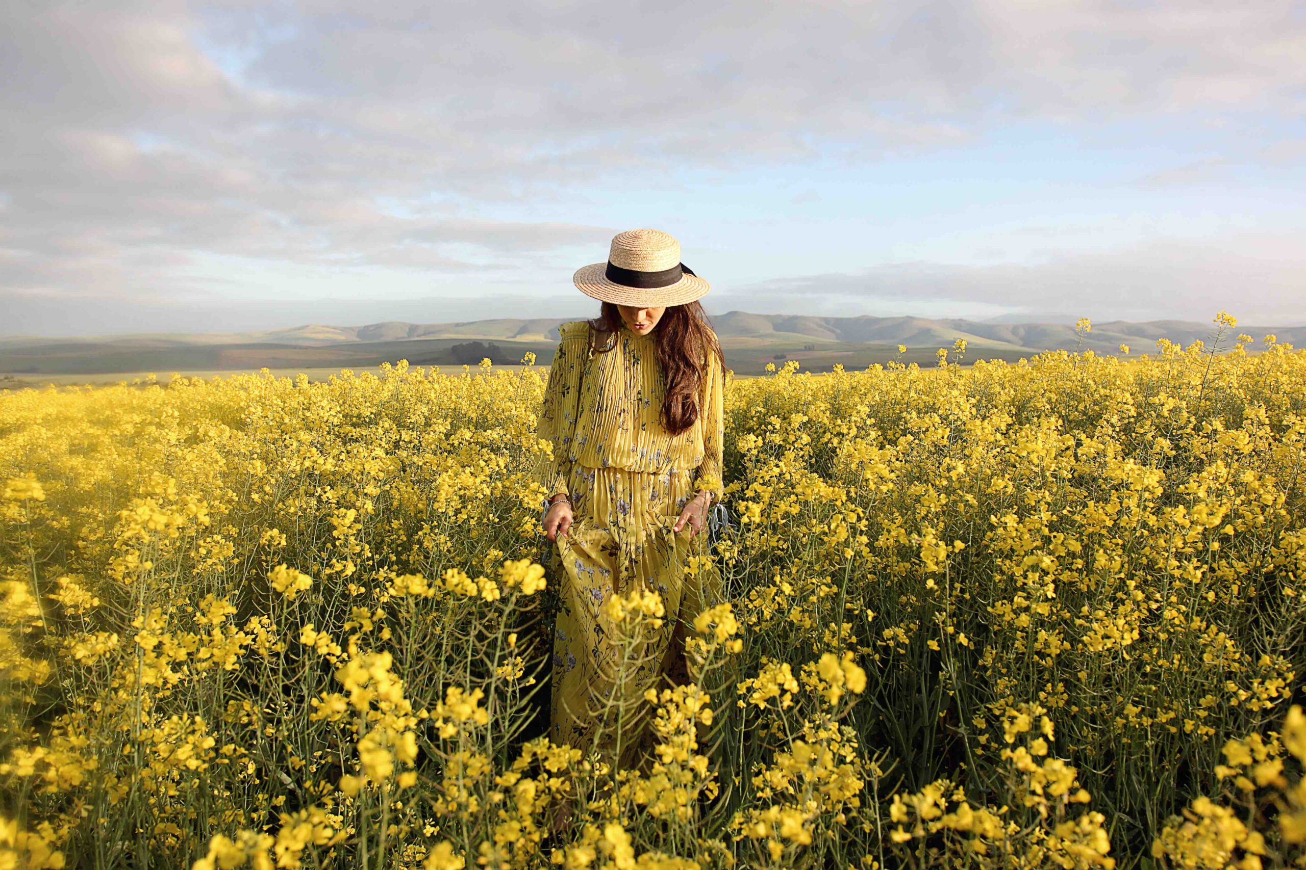 Canola Fields with Faiza Omar